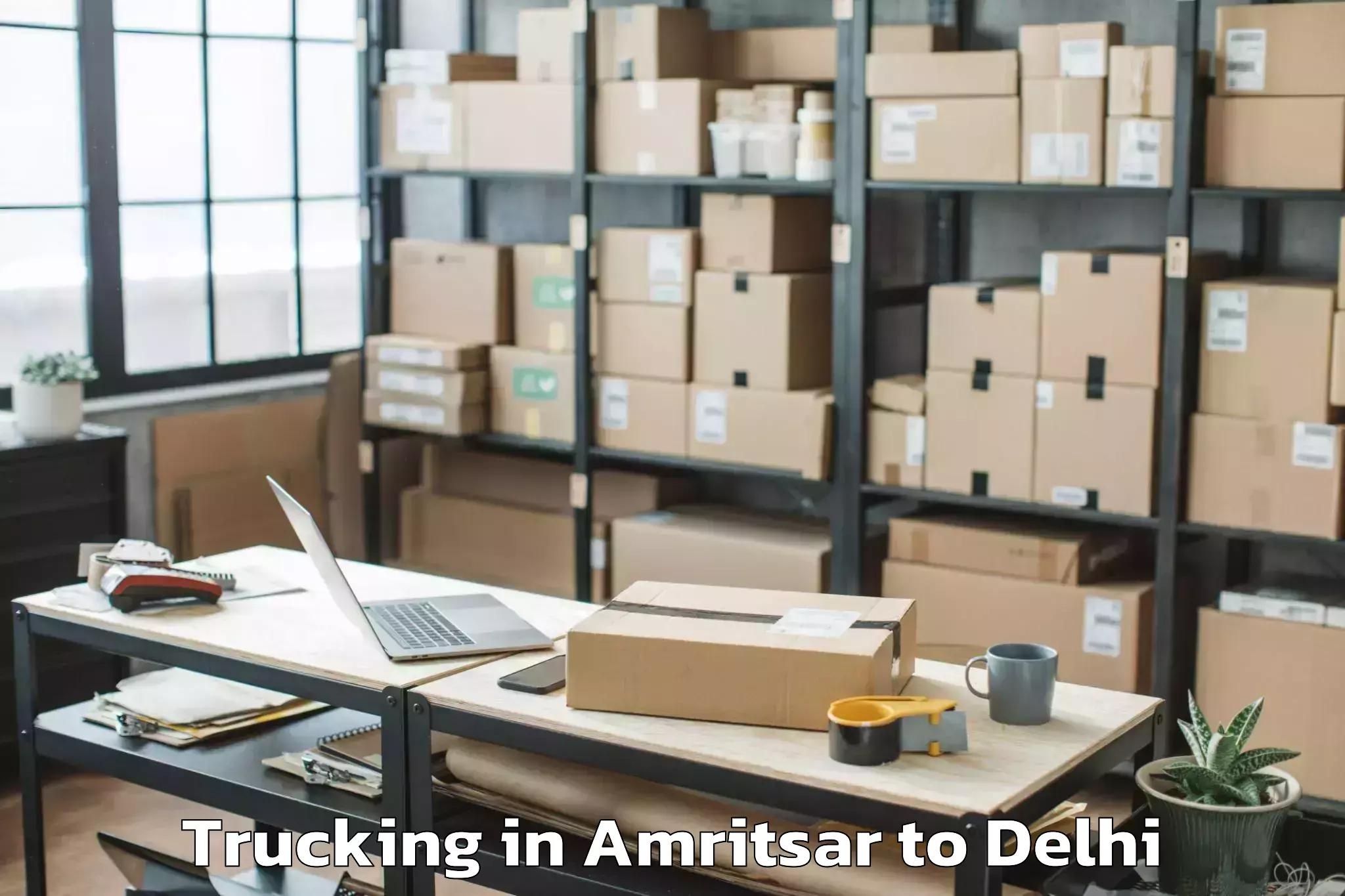 Professional Amritsar to Aggarwal City Mall Pitampura Trucking